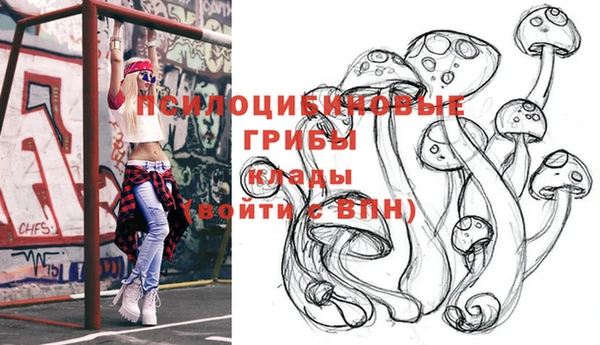 дурь Алзамай