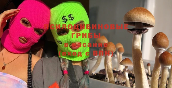 дурь Алзамай