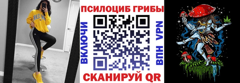 Псилоцибиновые грибы GOLDEN TEACHER  продажа наркотиков  Хвалынск 